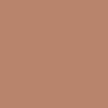 Spiced Cinnamon